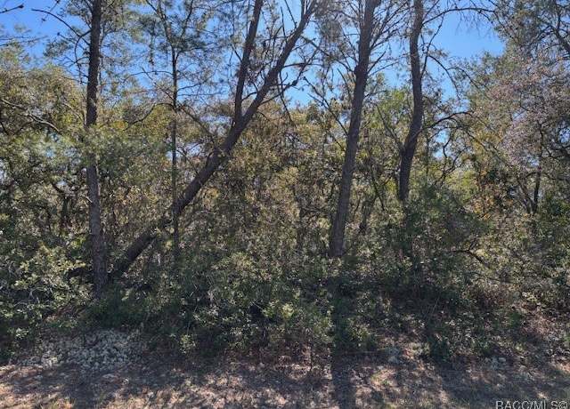 Property at 4282 W Drake Ln, Citrus Springs, FL 34433