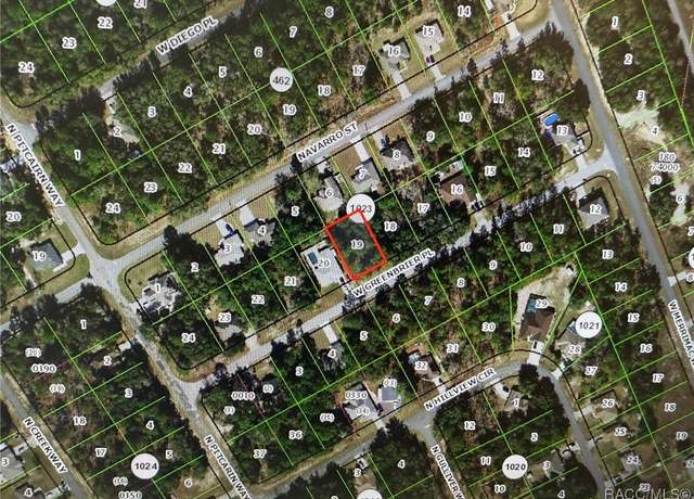 Property at 111 W Greenbriar Pl, Citrus Springs, FL 34434