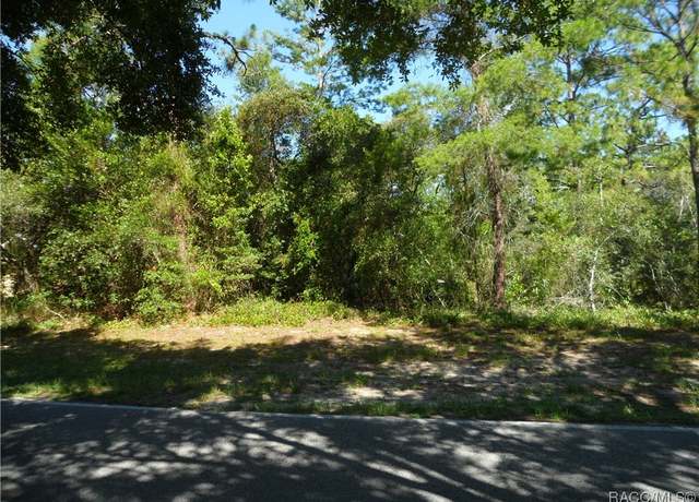 Property at 119 Oak Village Blvd, Homosassa, FL 34446