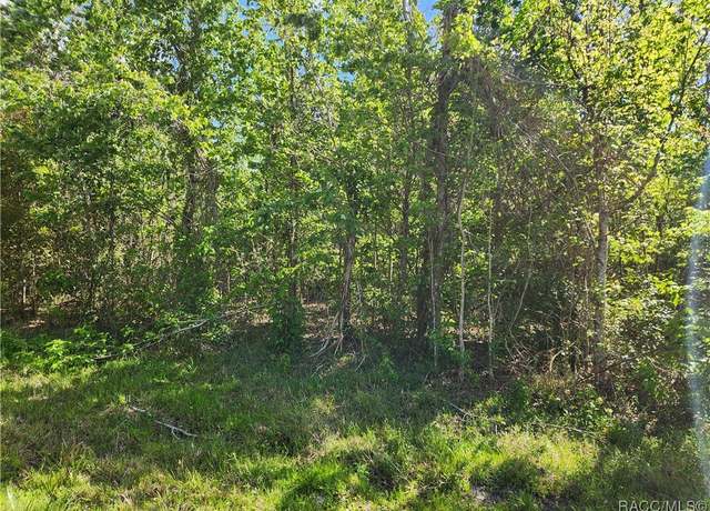 Property at 131 S Tighe Dr, Inverness, FL 34443