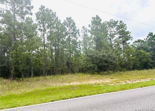 Property at 3995 W Hampshire Blvd, Citrus Springs, FL 34433