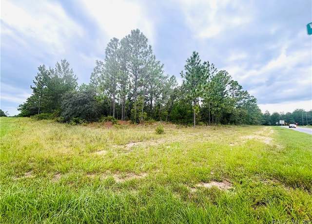 Property at 4021 W Malaluka Cir, Citrus Springs, FL 34433