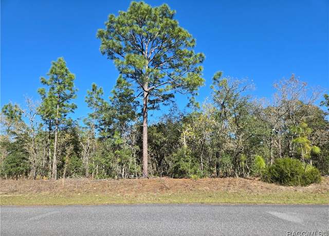 Property at 6499 N Pembroke Ter, Citrus Springs, FL 34434