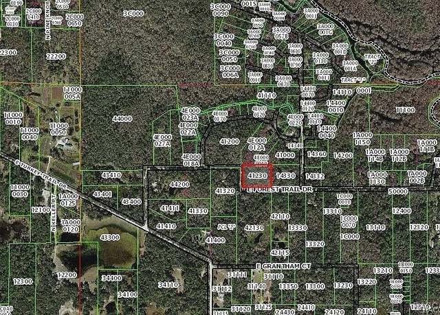 Property at 6321 E Forest Trail Dr, Hernando, FL 34442