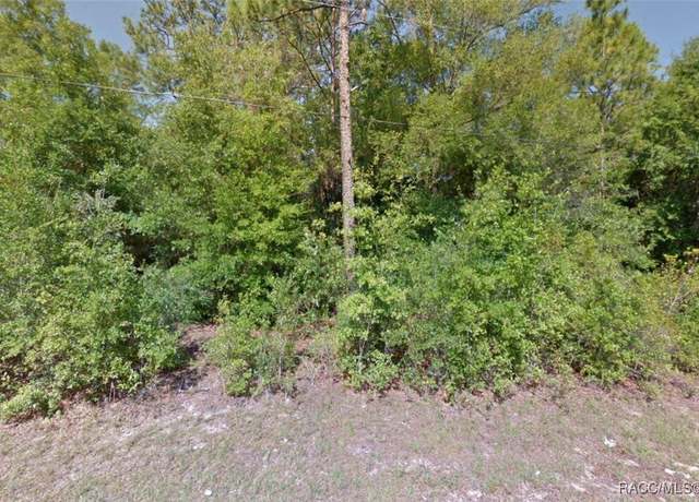 Property at 8984 N Greco Ter, Citrus Springs, FL 34434