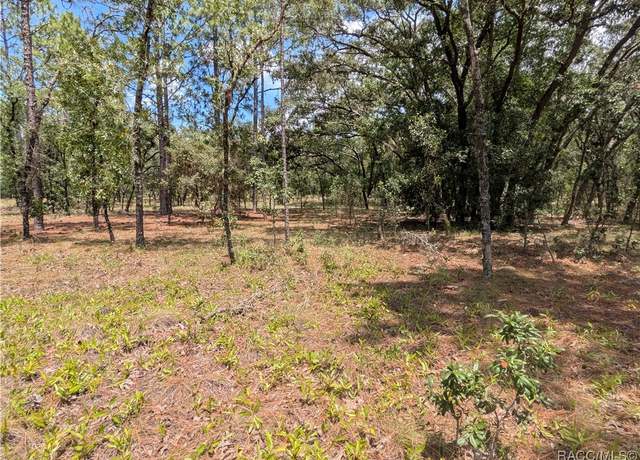 Property at LOT 25 NW Ridgewood Rd, Dunnellon, FL 34431