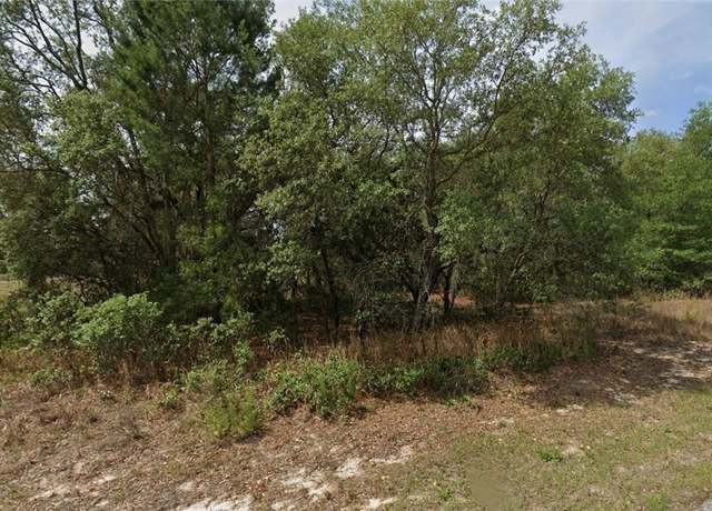 Property at 1542 W Belen Dr, Dunnellon, FL 34434