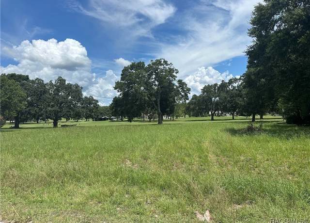 Property at 207 E Dakota Ct, Hernando, FL 34442