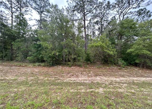 Property at 1594 W Donner Dr, Citrus Springs, FL 34434