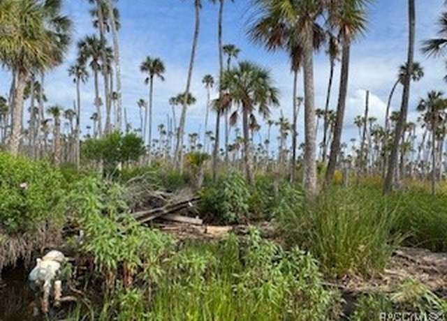Property at 10203 Chassahowitzka Riv, Homosassa, FL 34446