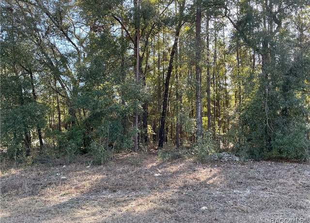 Property at 84 W Reef Ln, Citrus Springs, FL 34434