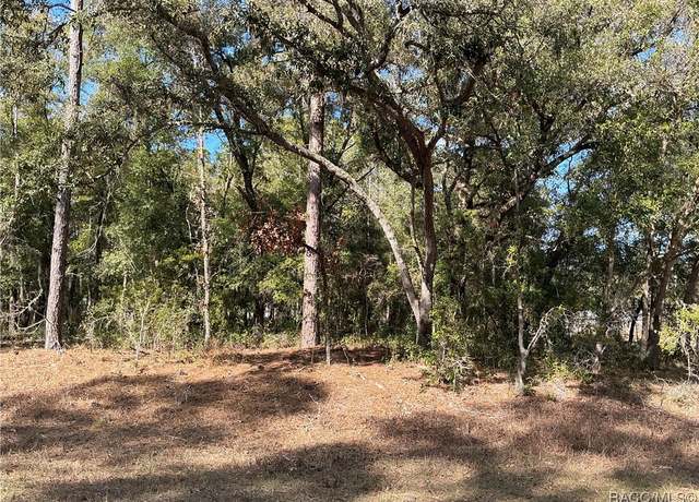 Property at 9207 N Sherman Dr, Citrus Springs, FL 34434
