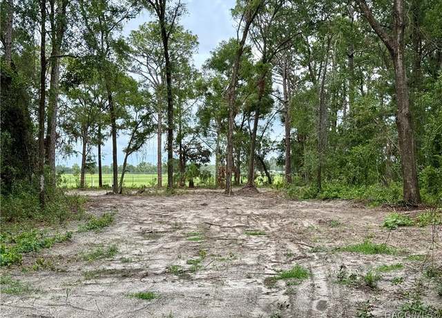 Property at 3921 S Placid Ave, Inverness, FL 34452
