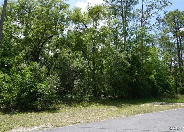 Property at 10072 N Conrad Pt, Citrus Springs, FL 34434