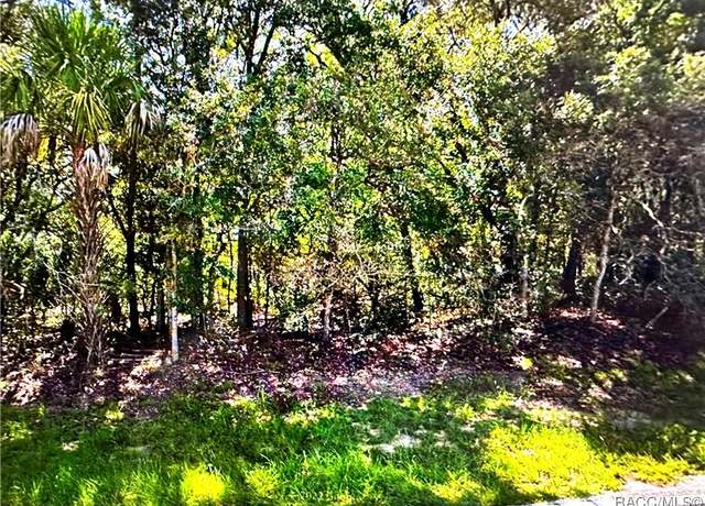 Property at 3617 N Annapolis Ave, Hernando, FL 34442