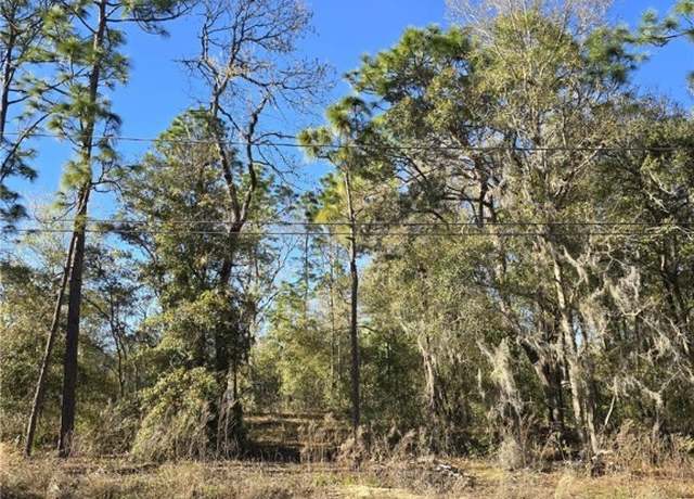 Property at 5215 E South Crossing Ct, Inverness, FL 34452