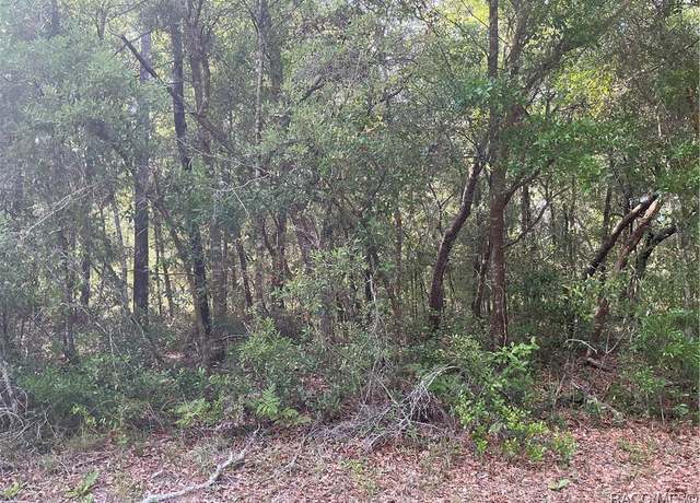 Property at 2845 W Gardenia Dr, Citrus Springs, FL 34434