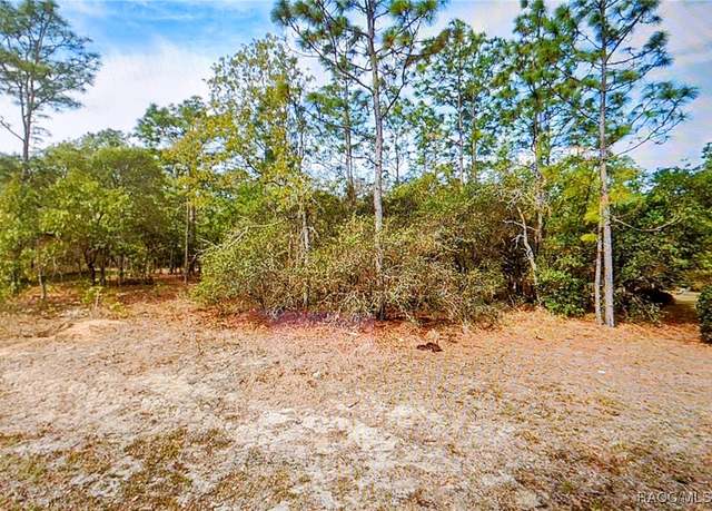 Property at 14 Fringetree Ct, Homosassa, FL 34446