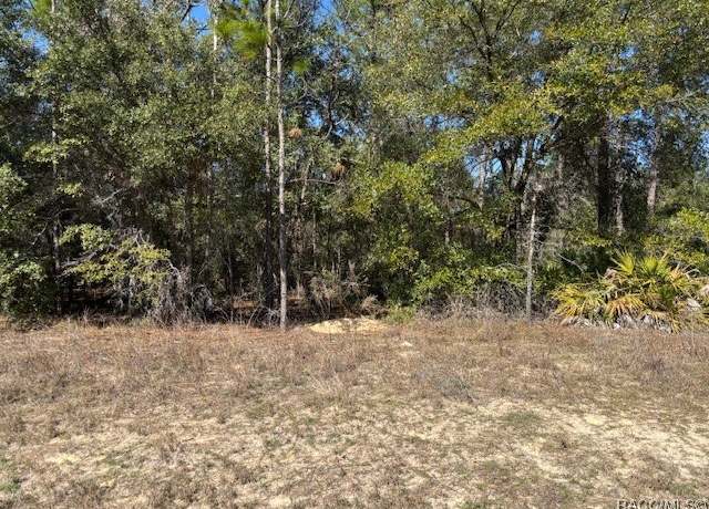 Property at 497 W Hummingbird Dr, Citrus Springs, FL 34434