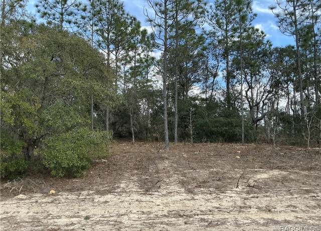 Property at 9581 N Wallace Way, Citrus Springs, FL 34434