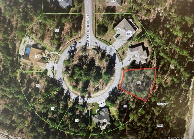 Property at 34 Tall Marigolds Ct, Homosassa, FL 34446