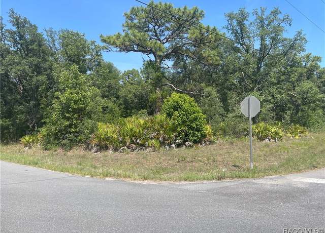 Property at 6645 W Erlen Ln, Homosassa, FL 34448