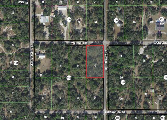 Property at 12076 W Fig Tree Ln, Crystal River, FL 34428