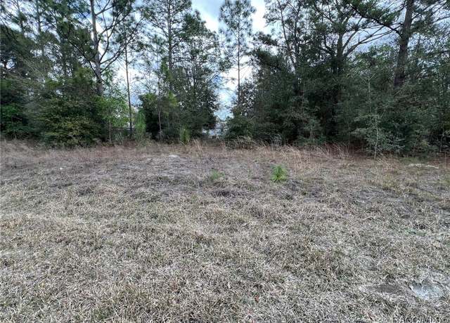 Property at 8699 N Discalfani Loop, Crystal River, FL 34428