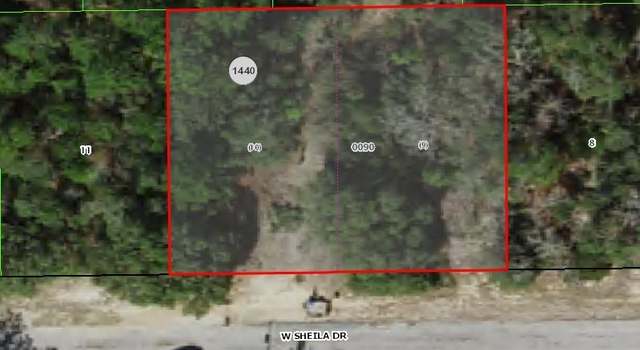Photo of 2907 W Sheila Dr, Citrus Springs, FL 34433