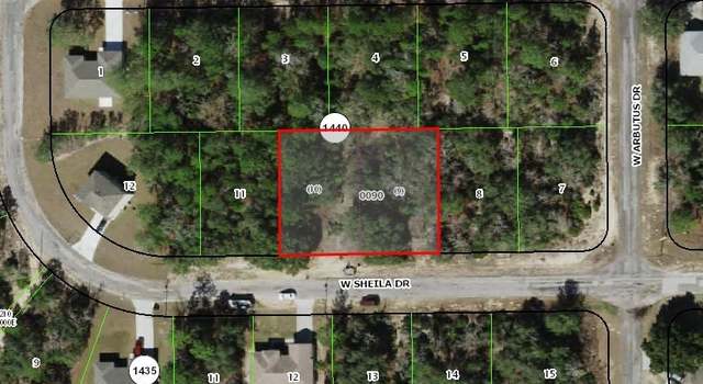 Photo of 2907 W Sheila Dr, Citrus Springs, FL 34433