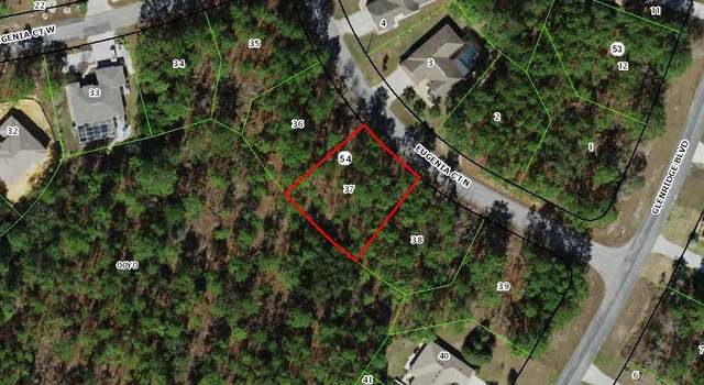 Photo of 6 Eugenia Ct N, Homosassa, FL 34446