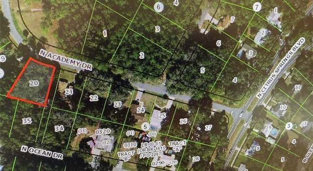 Photo of 10160 N Academy Dr, Citrus Springs, FL 34434