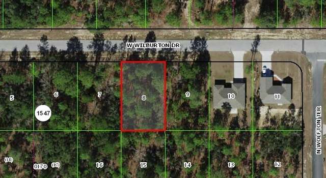 Photo of 3768 W Wilburton Dr, Citrus Springs, FL 34433