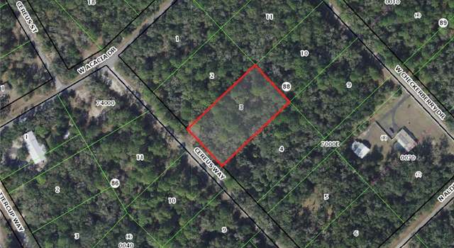 Photo of 9195 N Cereus Way, Crystal River, FL 34428