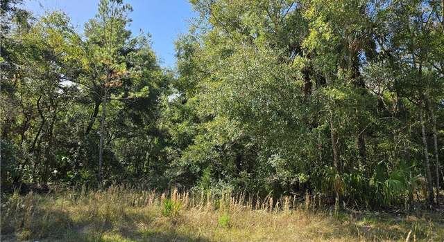 Photo of 14954 W River Rd, Inglis, FL 34449