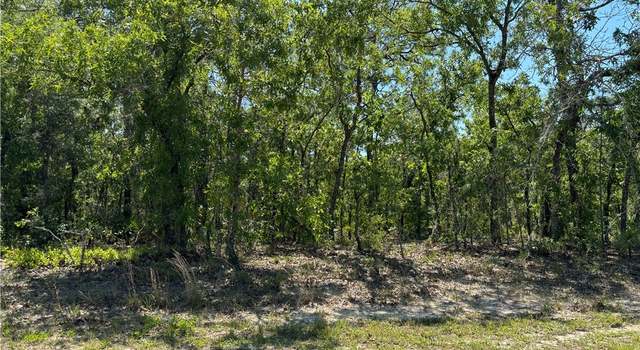 Photo of 3299 N Reno Way, Beverly Hills, FL 34465