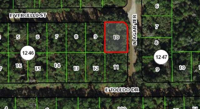 Photo of 1124 E Vercelli Ave, Citrus Springs, FL 34434