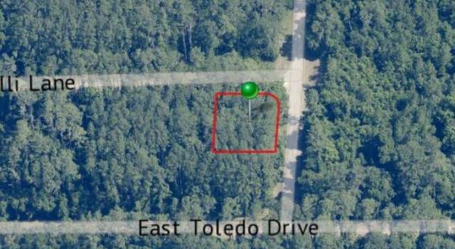 Photo of 1124 E Vercelli Ave, Citrus Springs, FL 34434