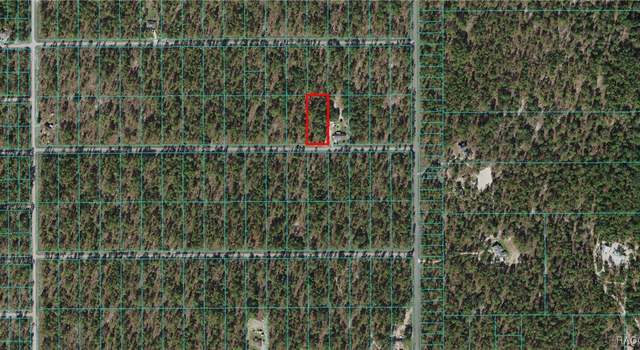 Photo of 0 NW Geranium Ave, Dunnellon, FL 34431