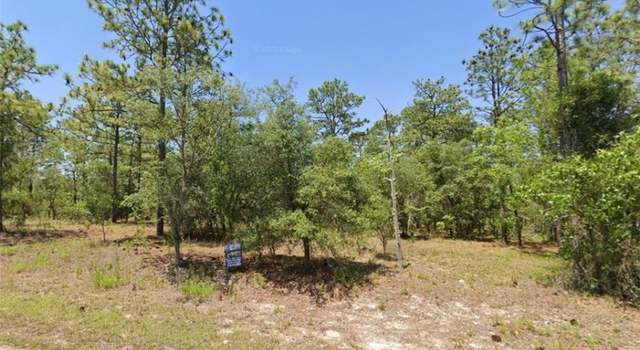 Photo of 0 NW Geranium Ave, Dunnellon, FL 34431