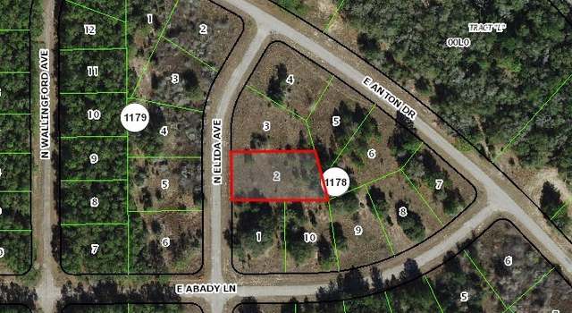 Photo of 8823 N Elida Ave, Citrus Springs, FL 34434