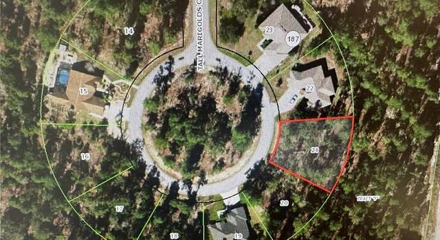 Photo of 34 Tall Marigolds Ct, Homosassa, FL 34446