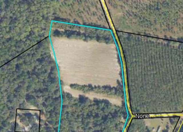 Property at 0 Hwy 168, Lakeland, GA 31635