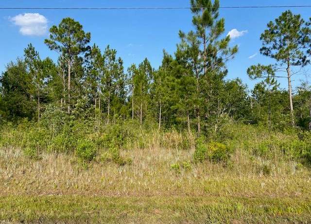 Property at 13 Oak Bend Dr, Naylor, GA 31641