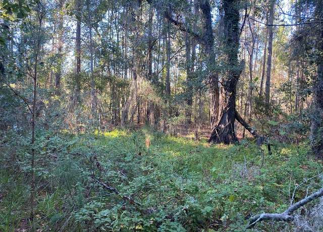 Property at 0000 Hamlin Rd, Quitman, GA 31643