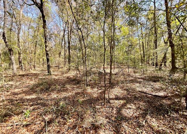 Property at Vacant Persimmon Dr, Pinetta, FL 32350
