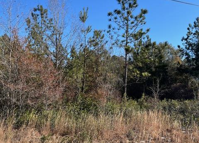 Property at 0 Locklier Dr, Homerville, GA 31634