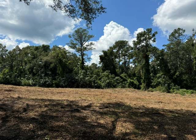 Property at 0 N Washington Street [sr33], Quitman, GA 31643