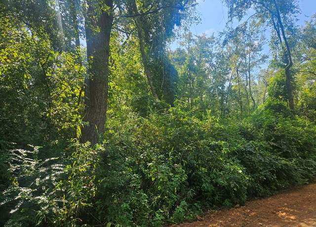 Property at 0 Twin Oaks Rd, Ray City, GA 31645