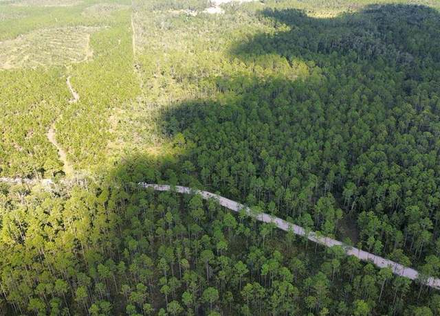Property at Tract A Bergman Rd, Naylor, GA 31641